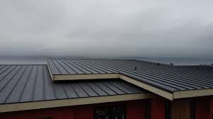 Professional Roofing servicies in Valdez, AK